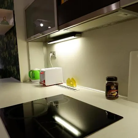 Appartement V Centru Mesta S Vyhledem Na Petra, A Parkovani *