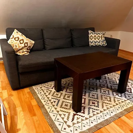 Appartement V Centru Mesta S Vyhledem Na Petra, A Parkovani Brno
